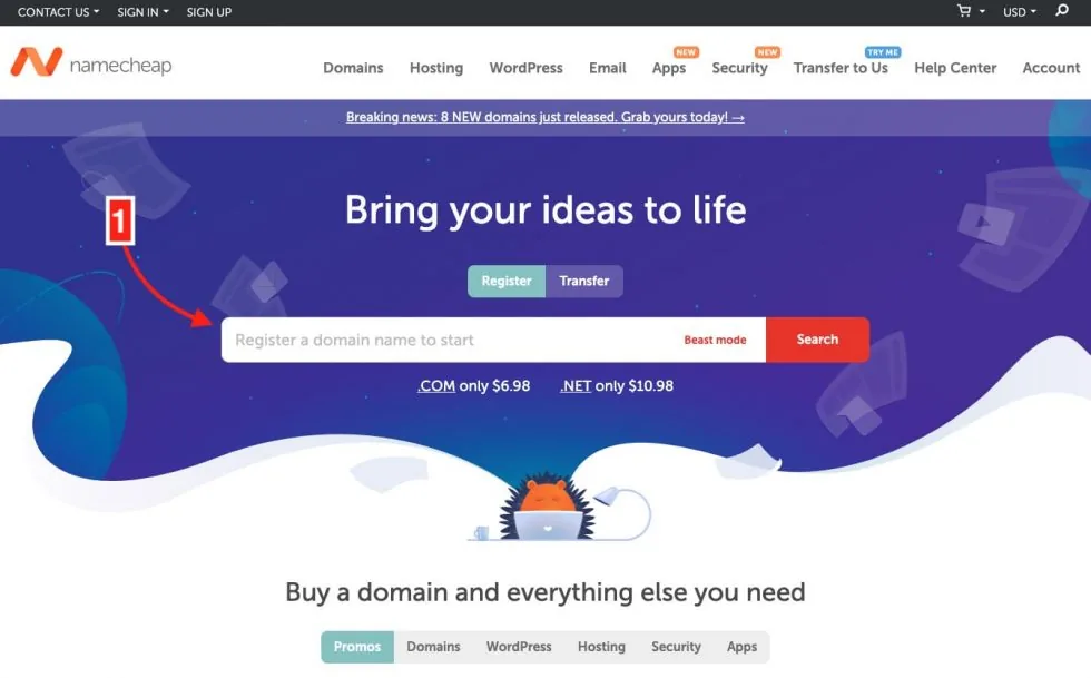 Barra de búsqueda en la página principal de Namecheap