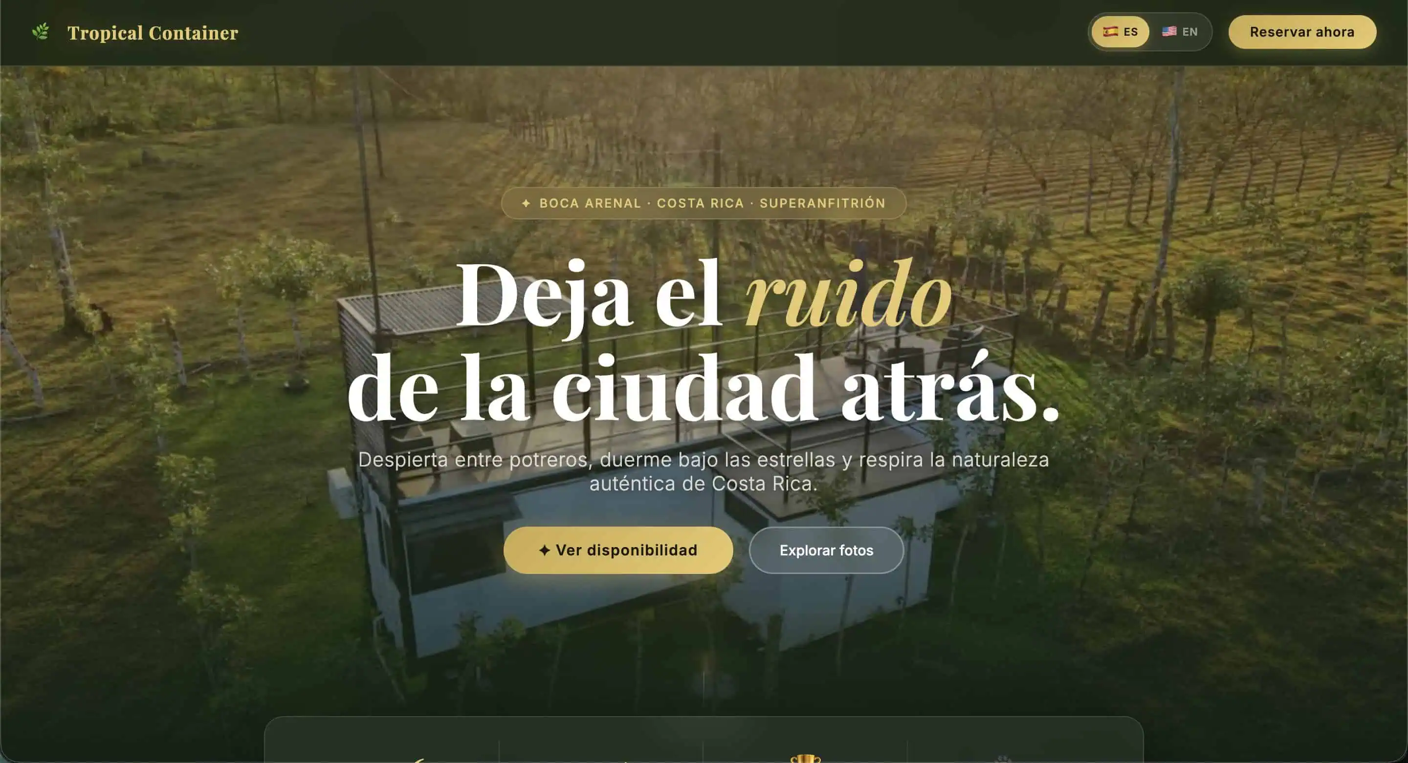 Proyecto 7